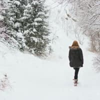 Geraldine H Williams