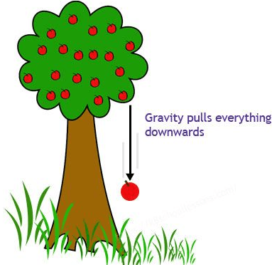 Gravity Pull Things Down 