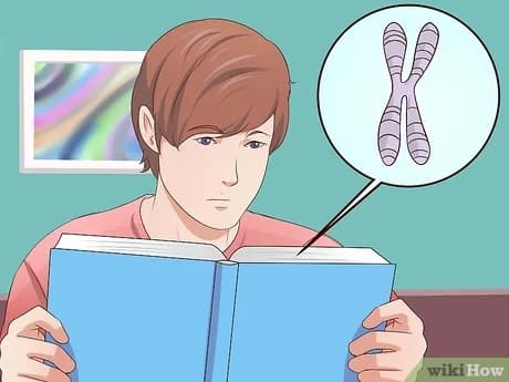 Punnett Square Practice