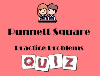 Punnett Square Practice for Genetic Outcomes