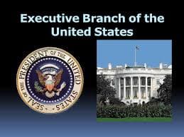 Executive Branch Quiz: President's Role & Powers