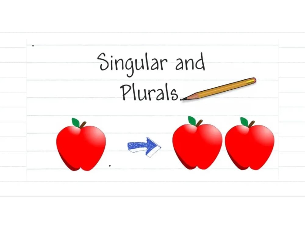Plural and Singular Nouns