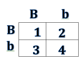 Punnett Square Review
