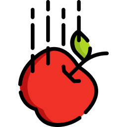 Identify Gravity Quiz