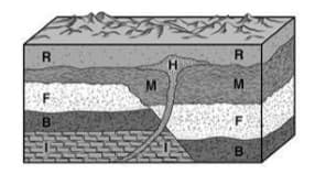 Interpreting Fossil Evidence Quiz