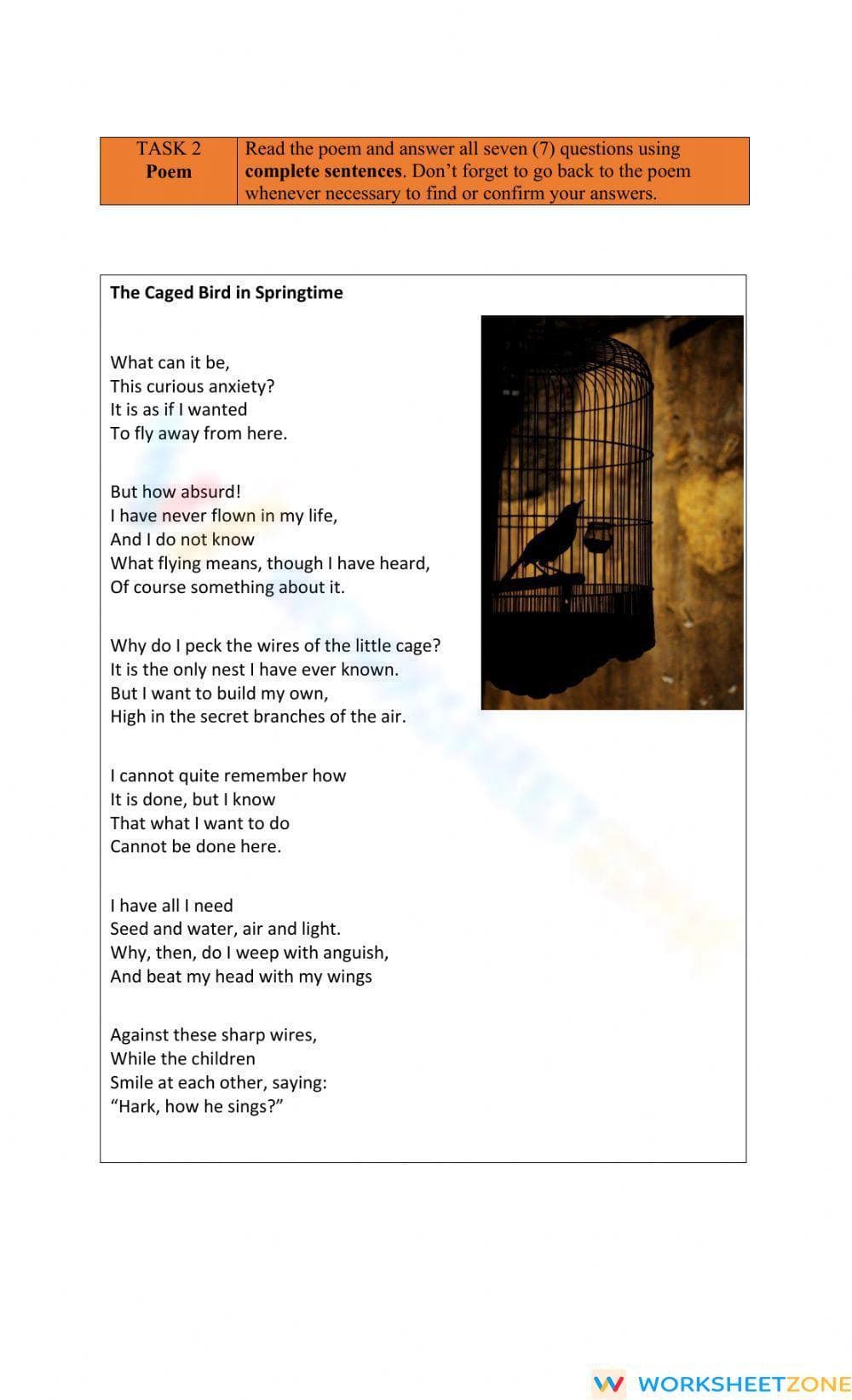 Comprehension T3A2 - Page 3