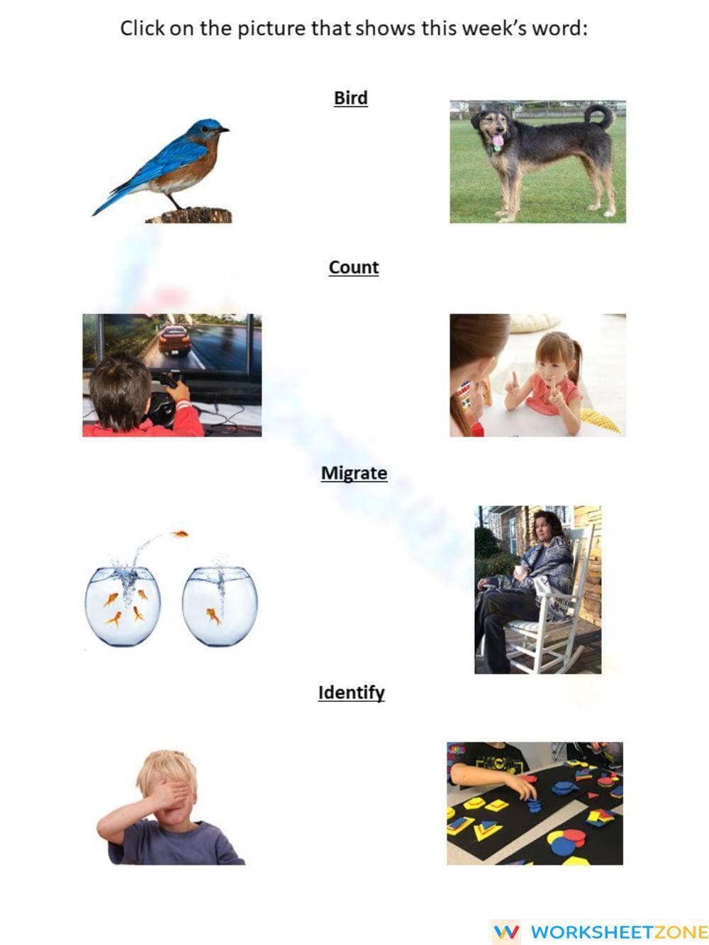 Bird Count Vocab ID - Page 1