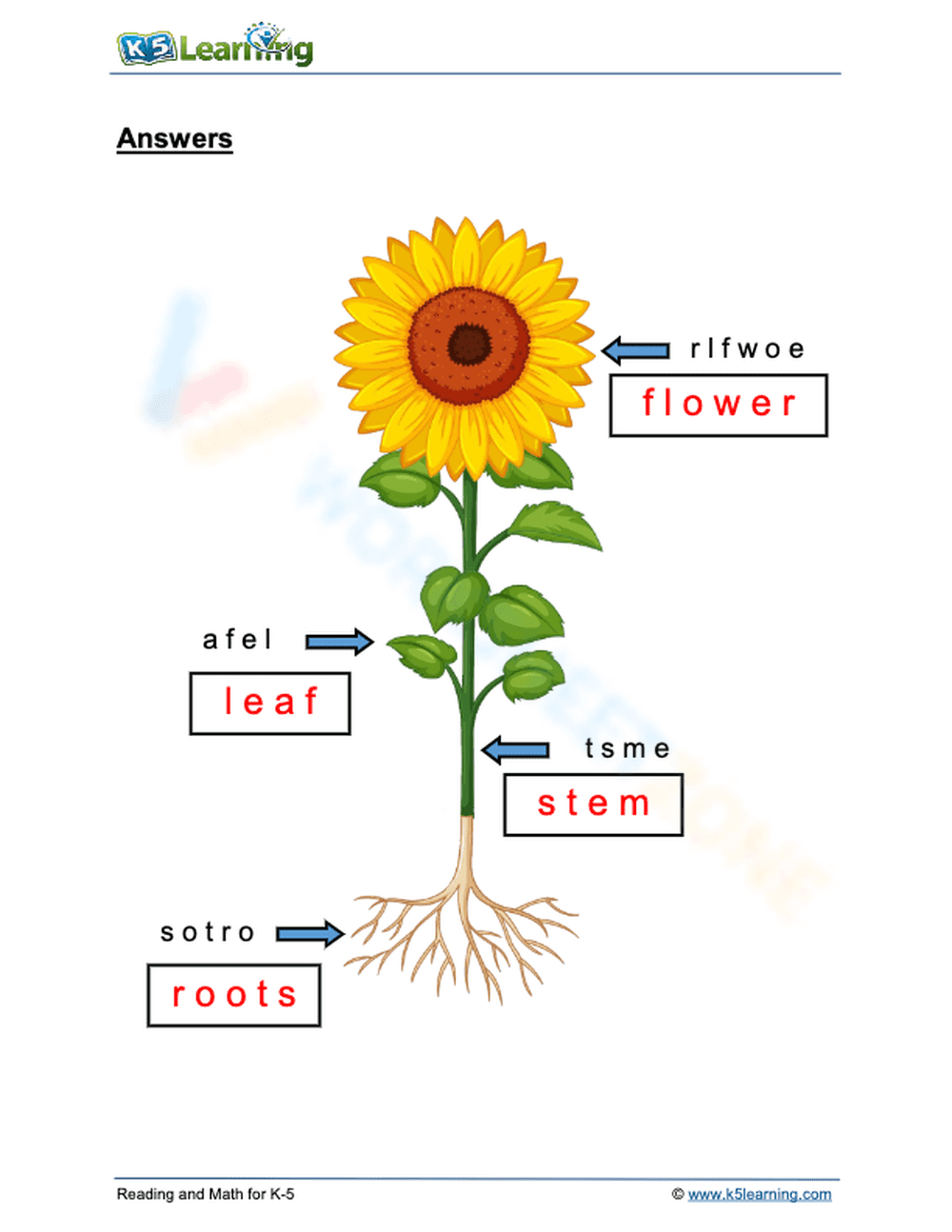 Parts of a Plant - Page 2