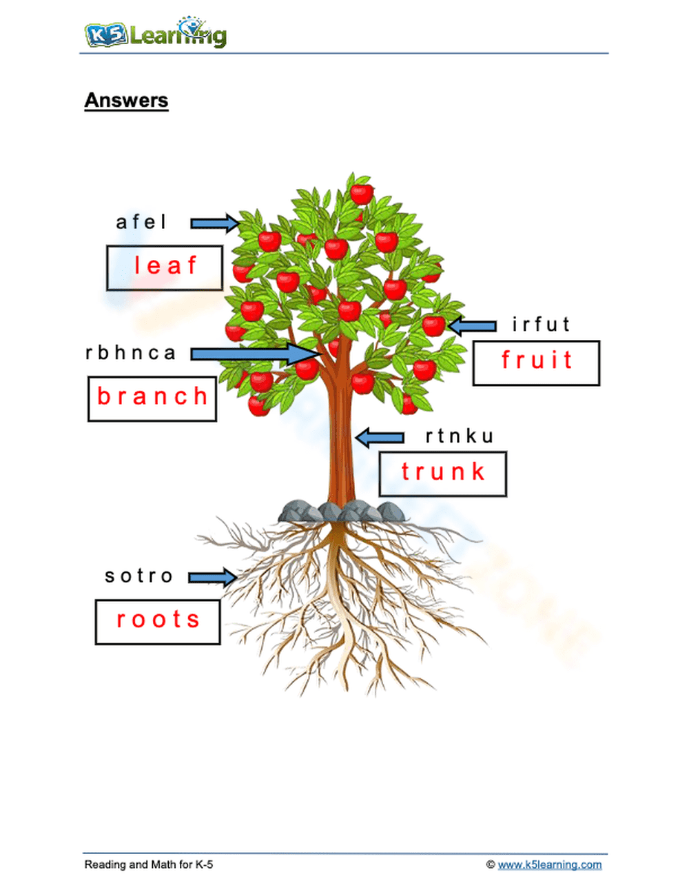 Parts of a Plant - Page 2