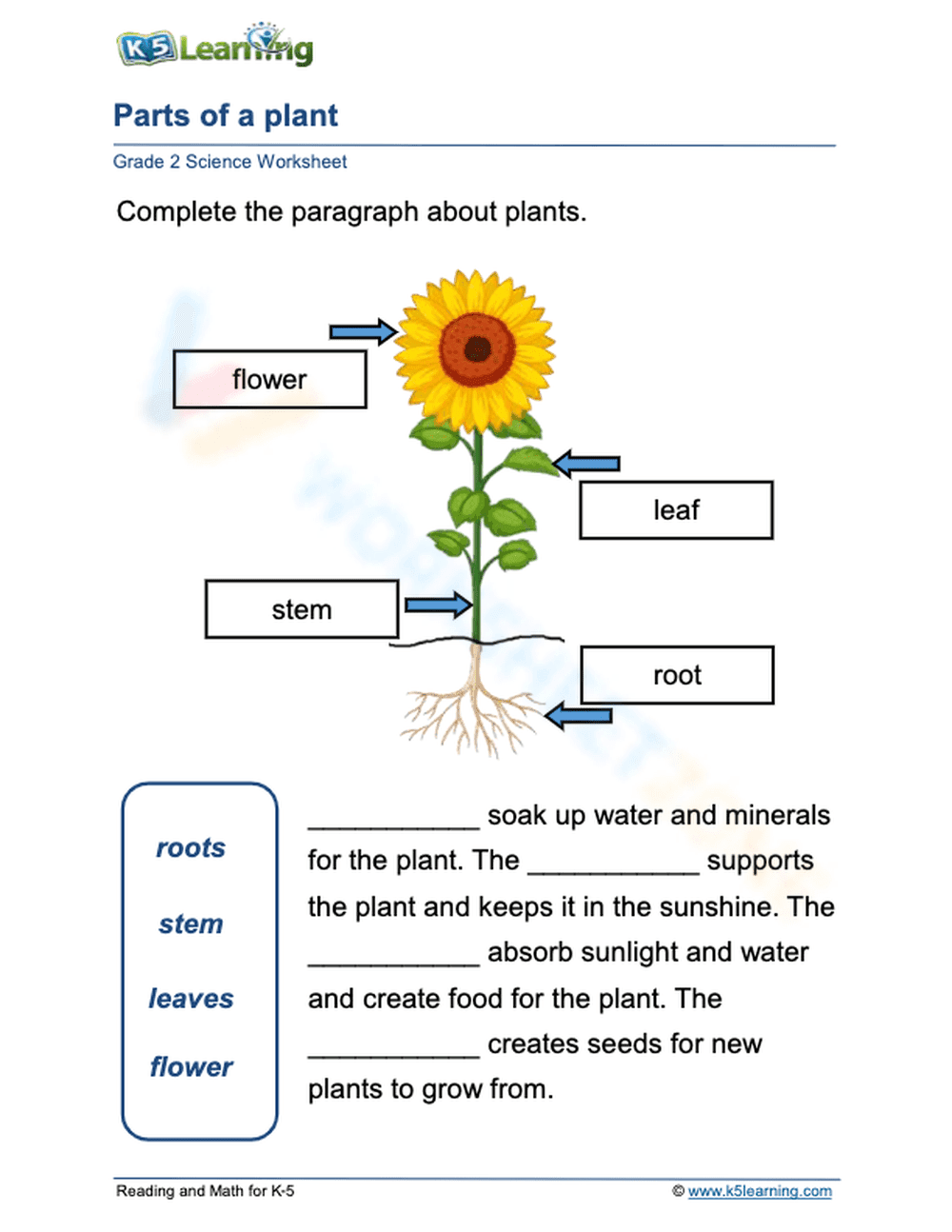 Parts of a Plant - Page 1