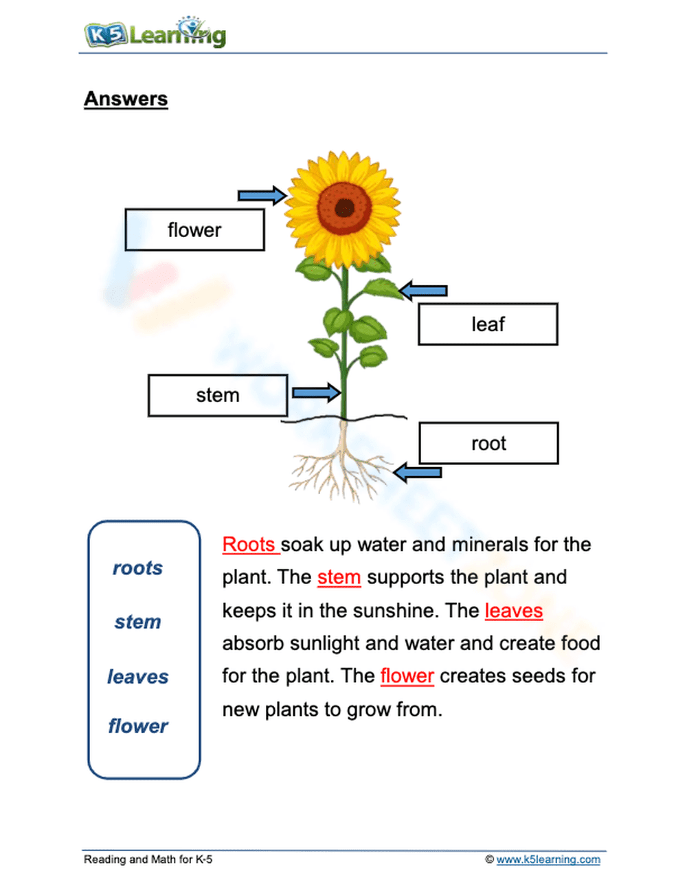 Parts of a Plant - Page 2