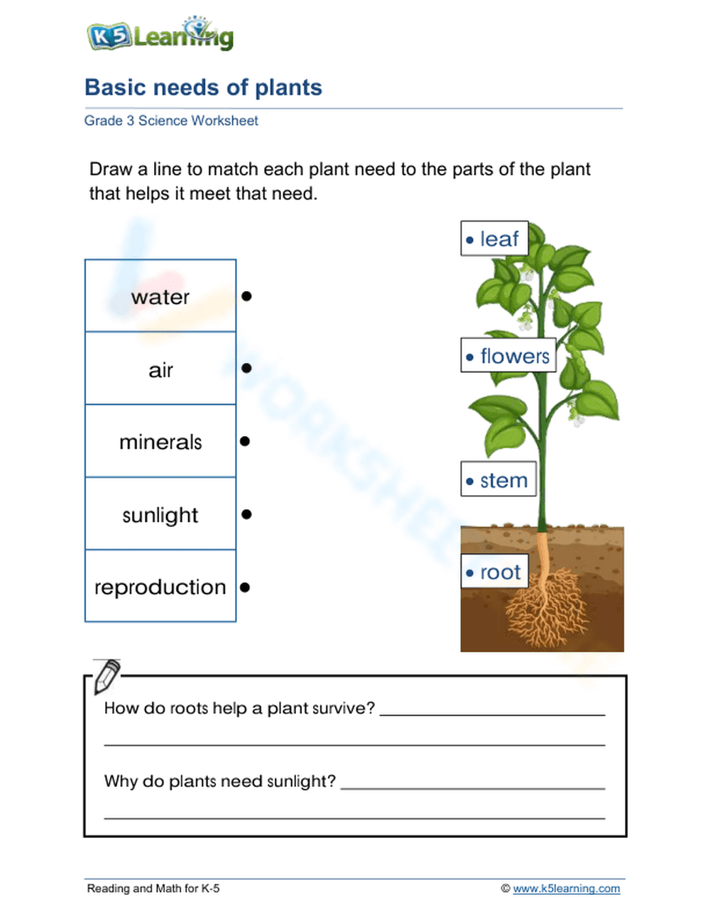 Basic needs of plants - Page 1