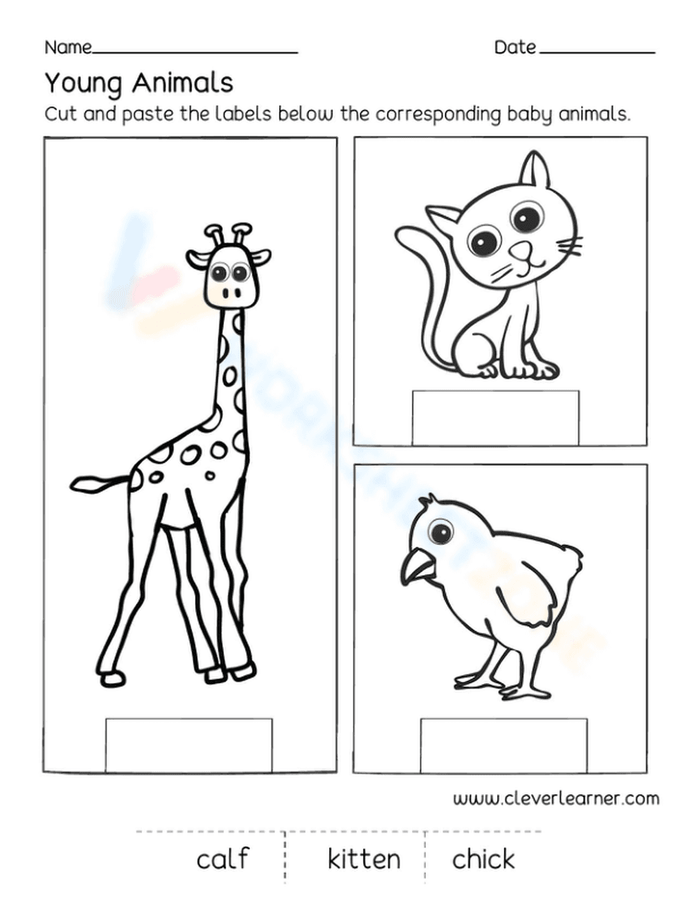 Young animals 3 - Page 1