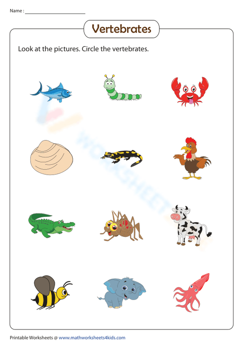 Vertebrates - Page 1