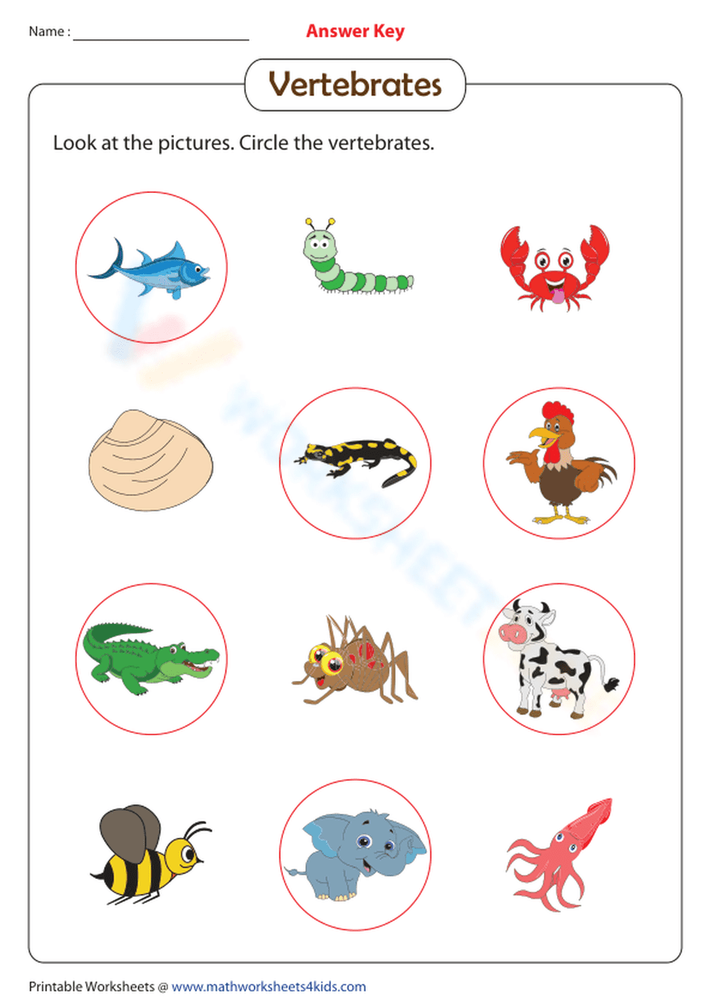Vertebrates - Page 2