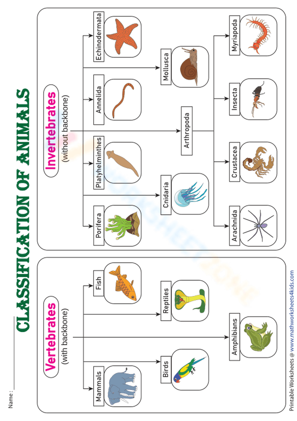 Classification of animals - Chart - Page 1