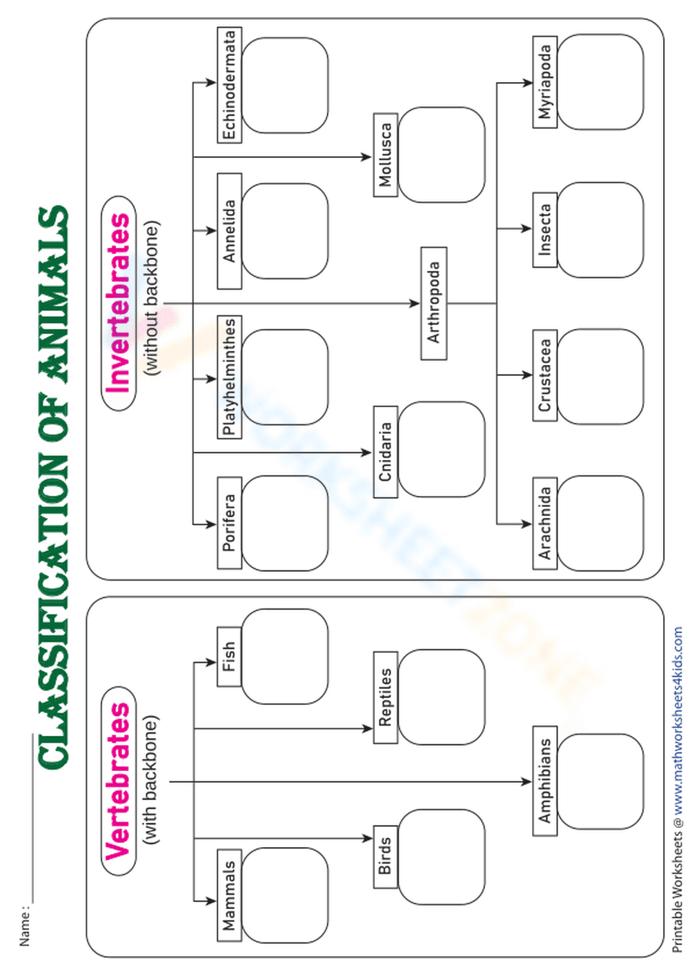 Classification of animals - Exercise - Page 1