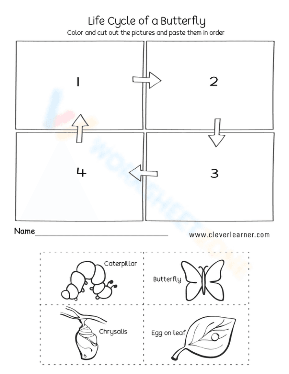 Life cycle of a butterfly 1 - Page 1