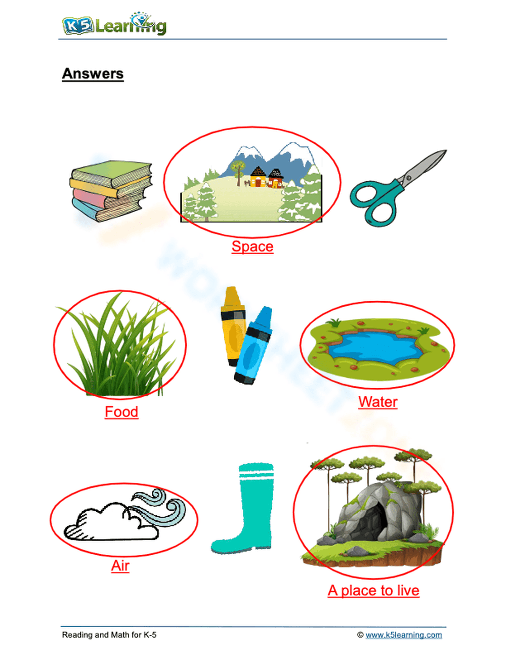 Needs of animals 1 - Page 2