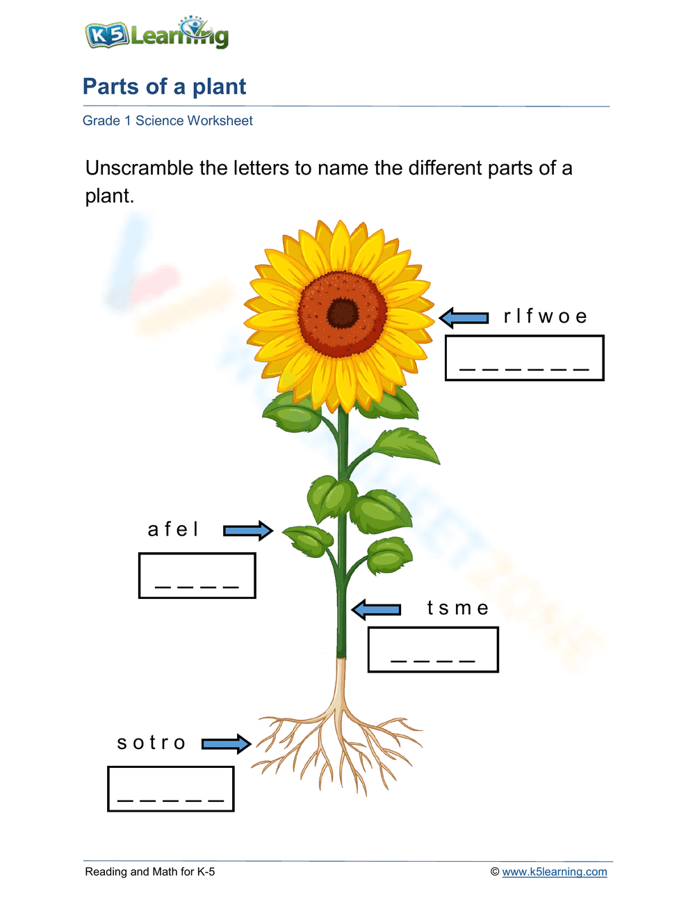 Parts of a plant - Page 1