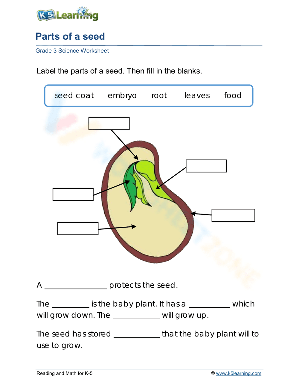 Parts of a seed - Page 1