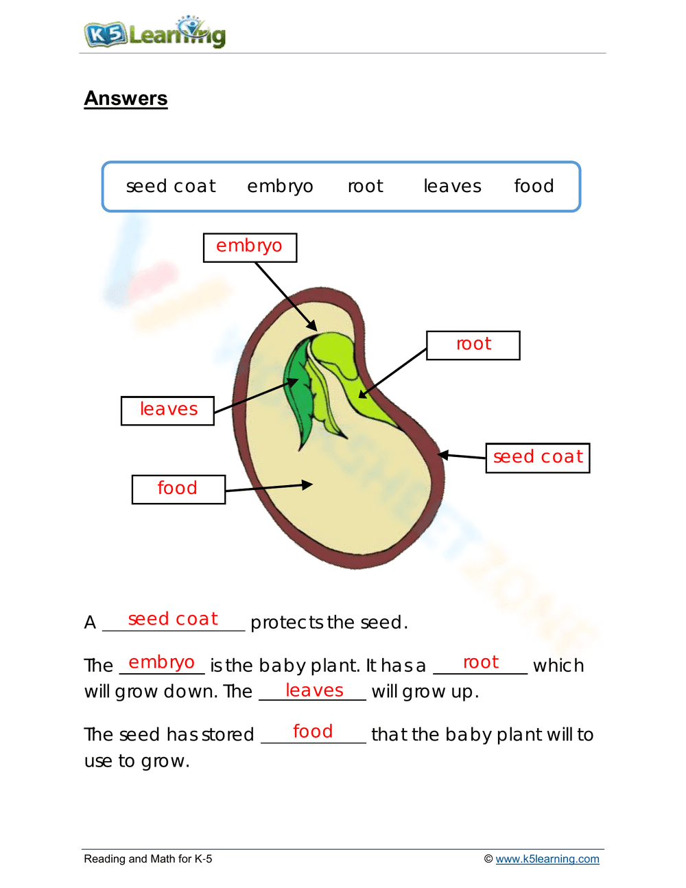 Parts of a seed - Page 2