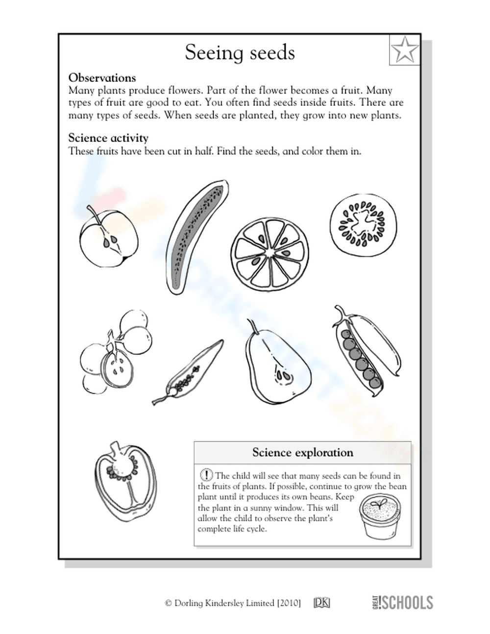All about seeds! - Page 2