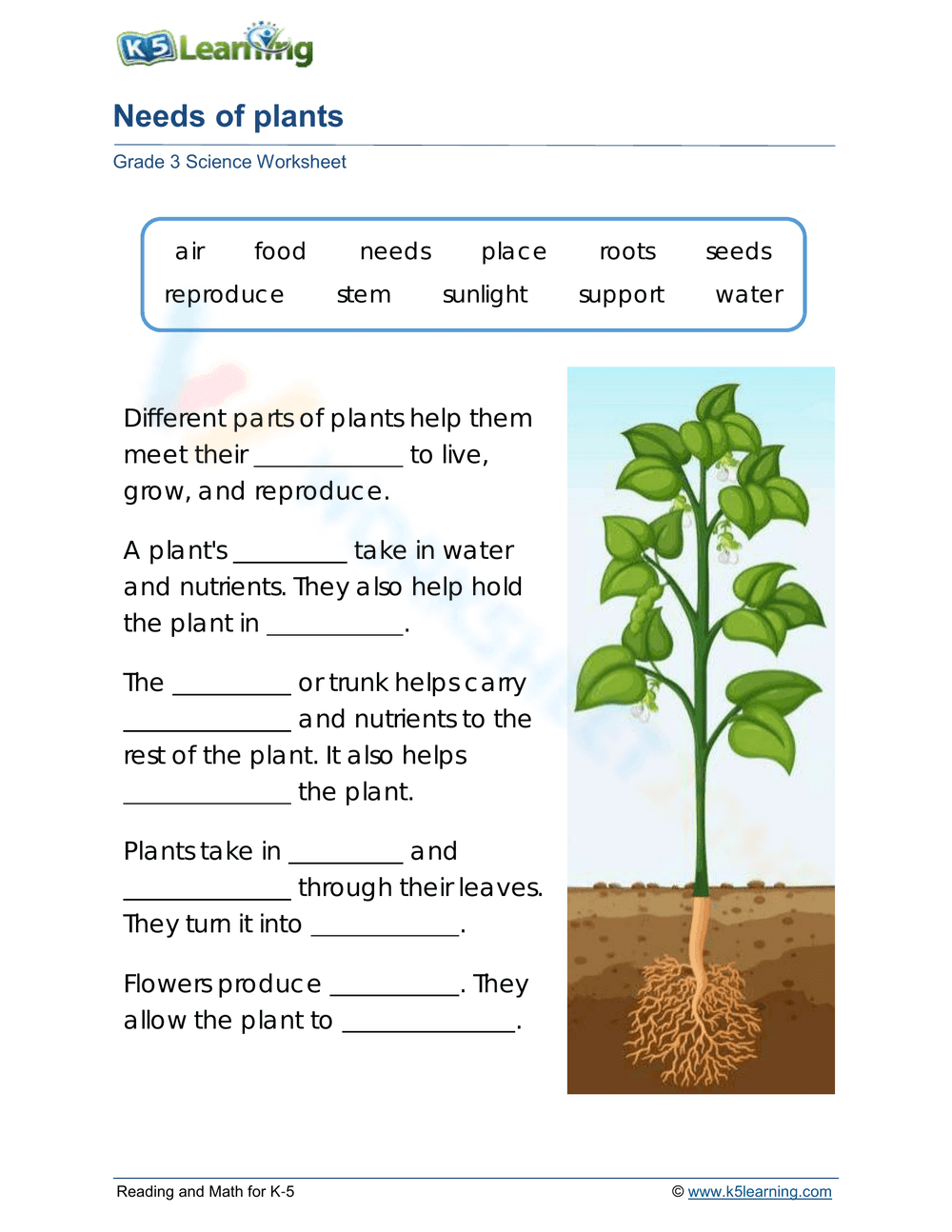Needs of plants 2 - Page 1