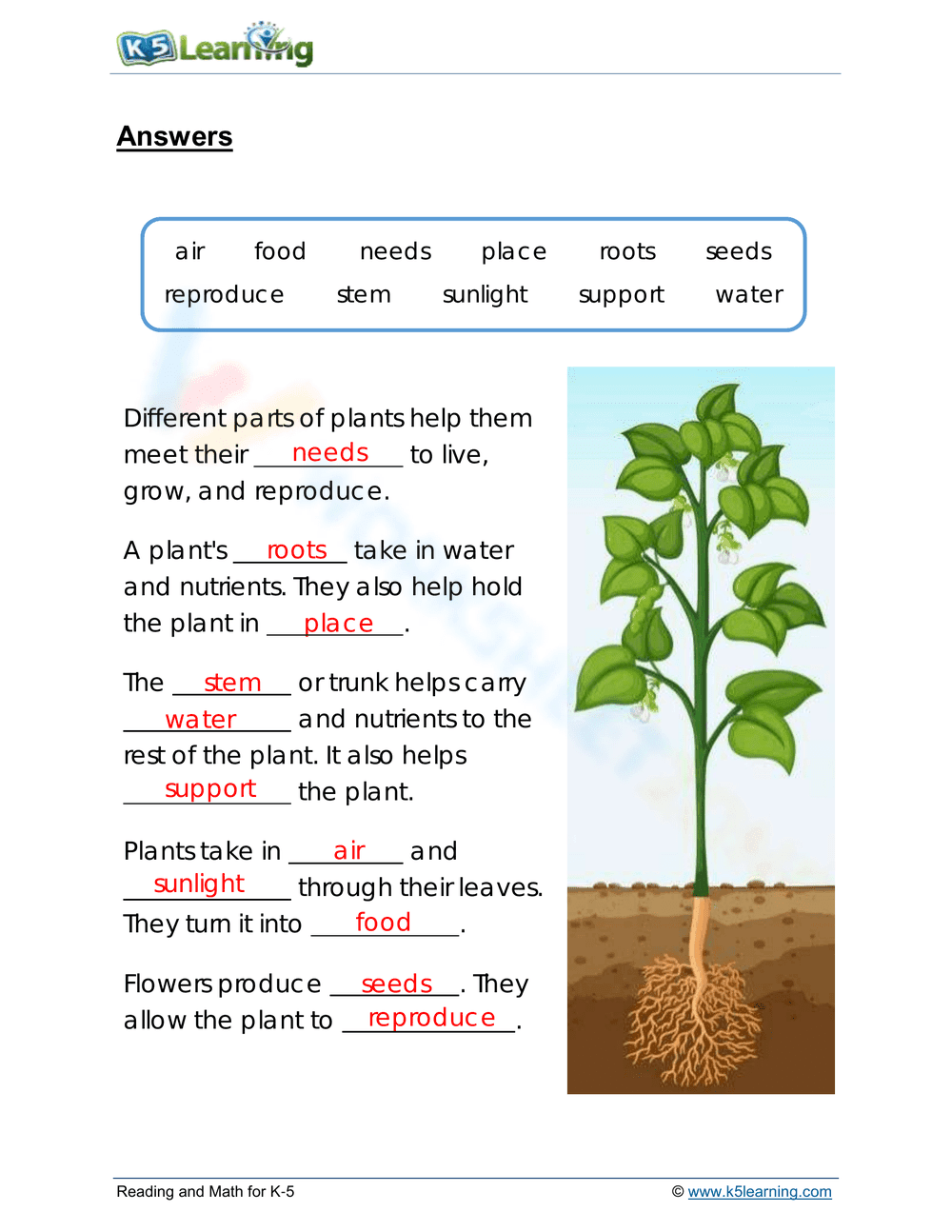 Needs of plants 2 - Page 2