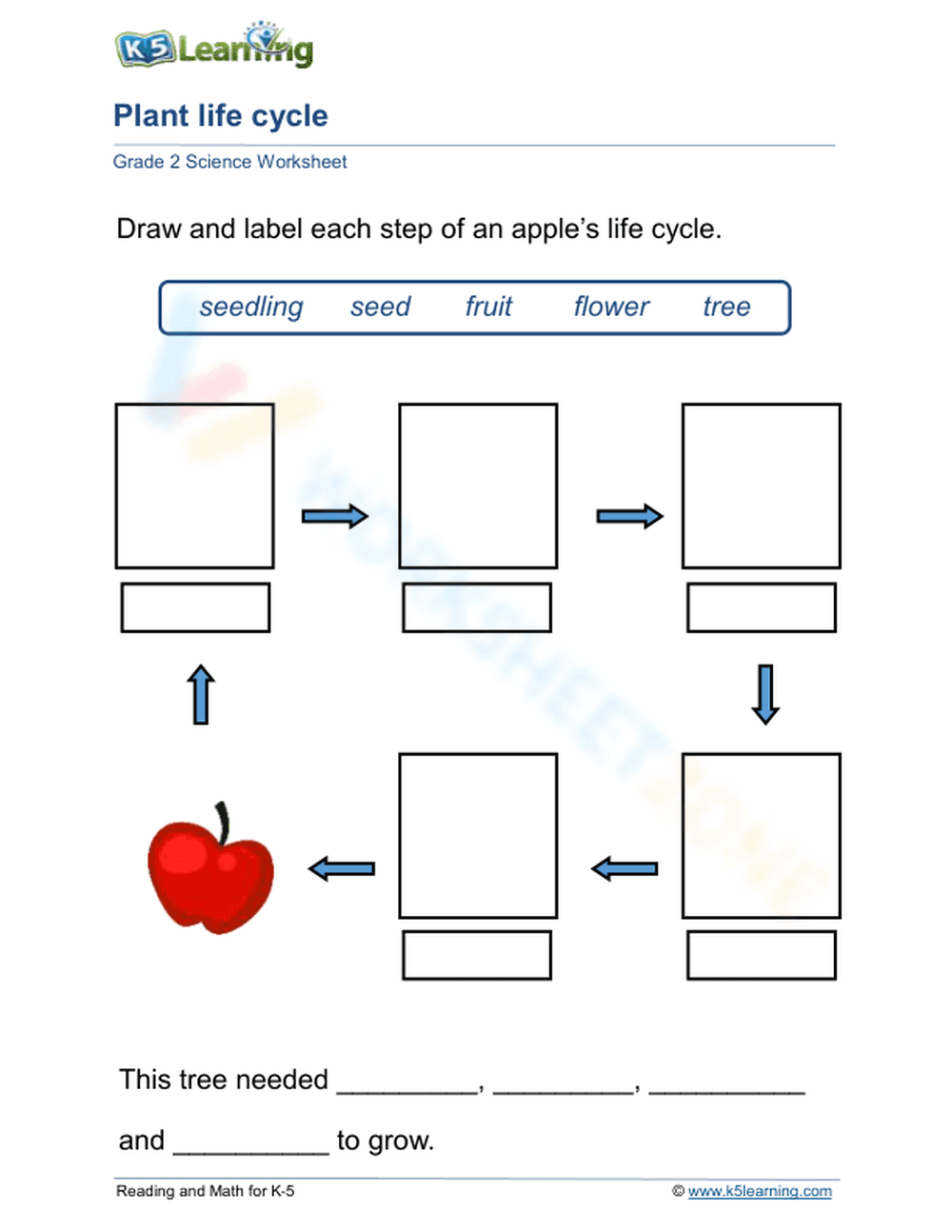 From seedling to fruit - Page 1
