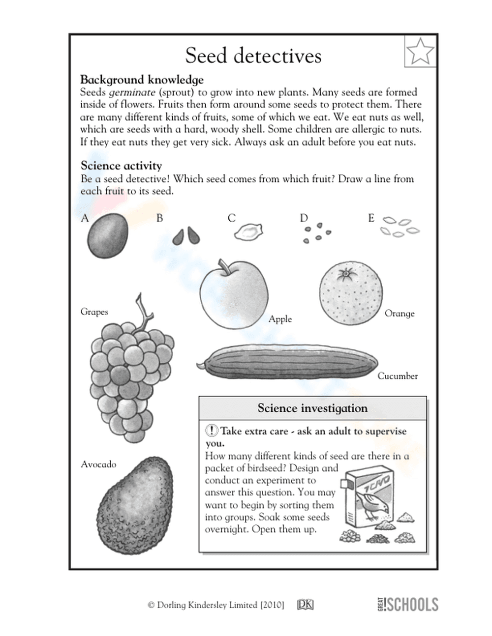 Seed detectives - Page 1