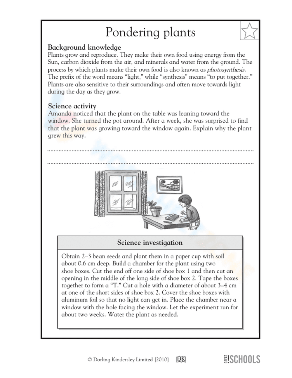 Pondering plants - Page 1