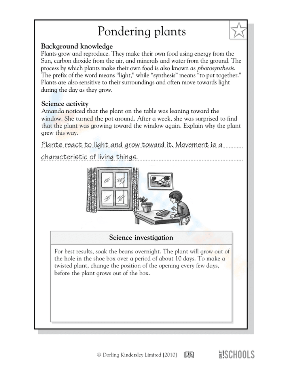 Pondering plants - Page 2