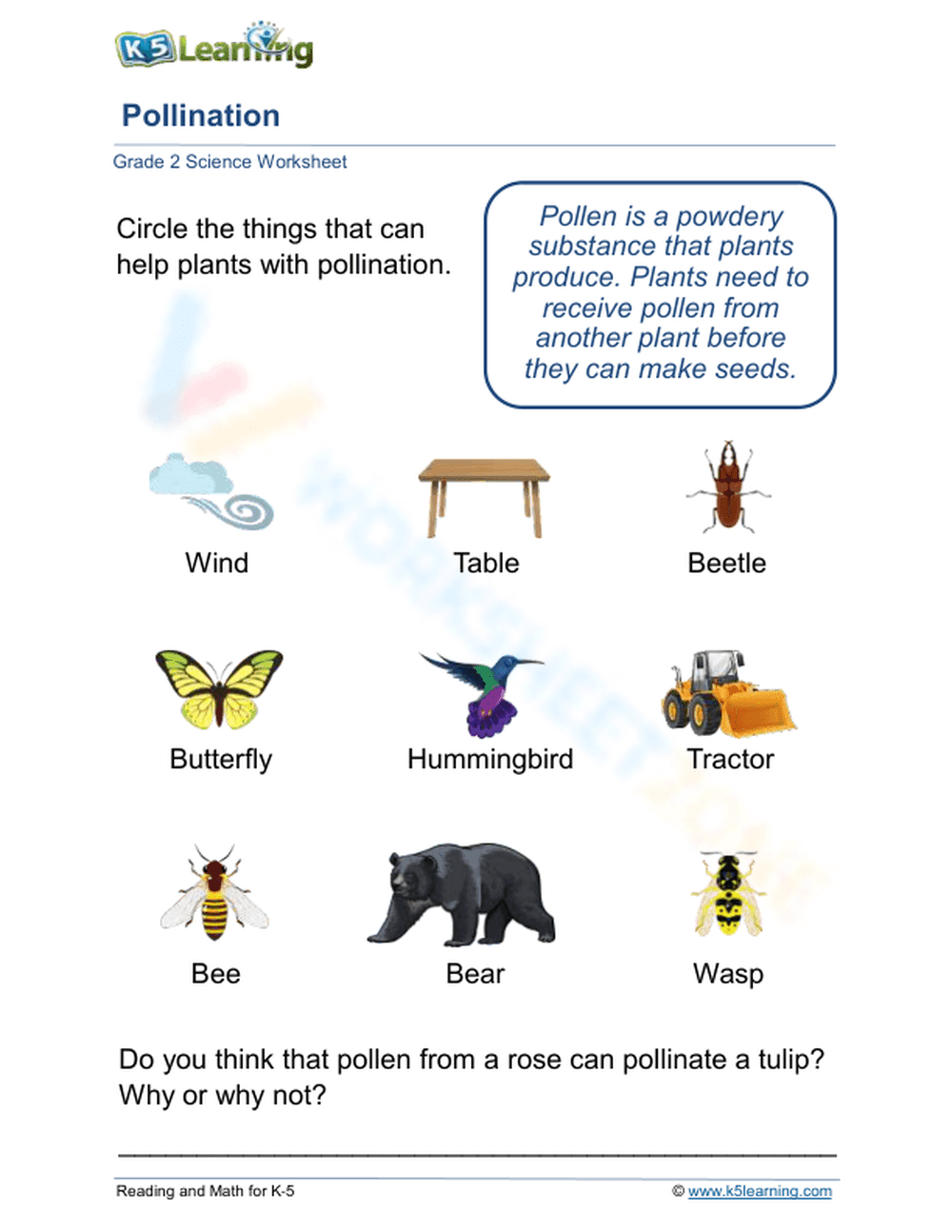 Pollination - Page 1
