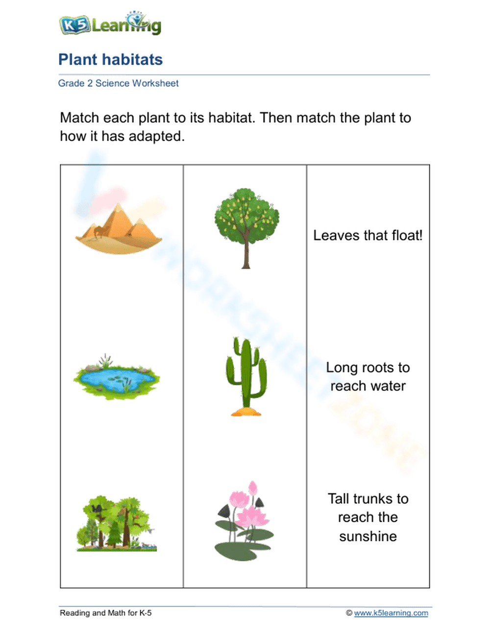 Plants, habitats and adaptations - Page 1