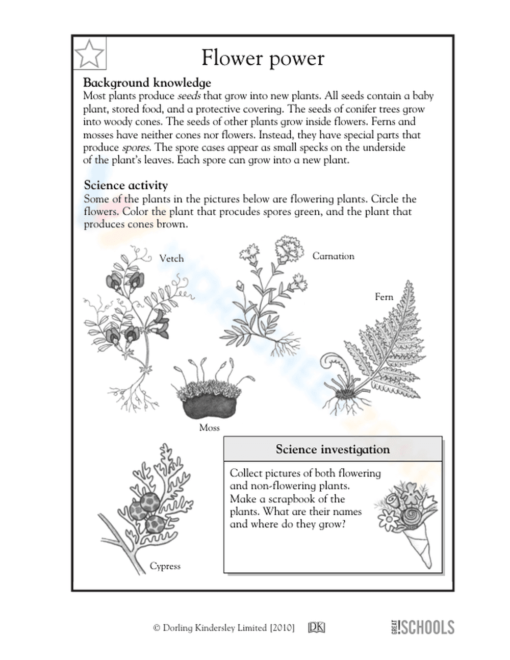 Flower power - Page 1