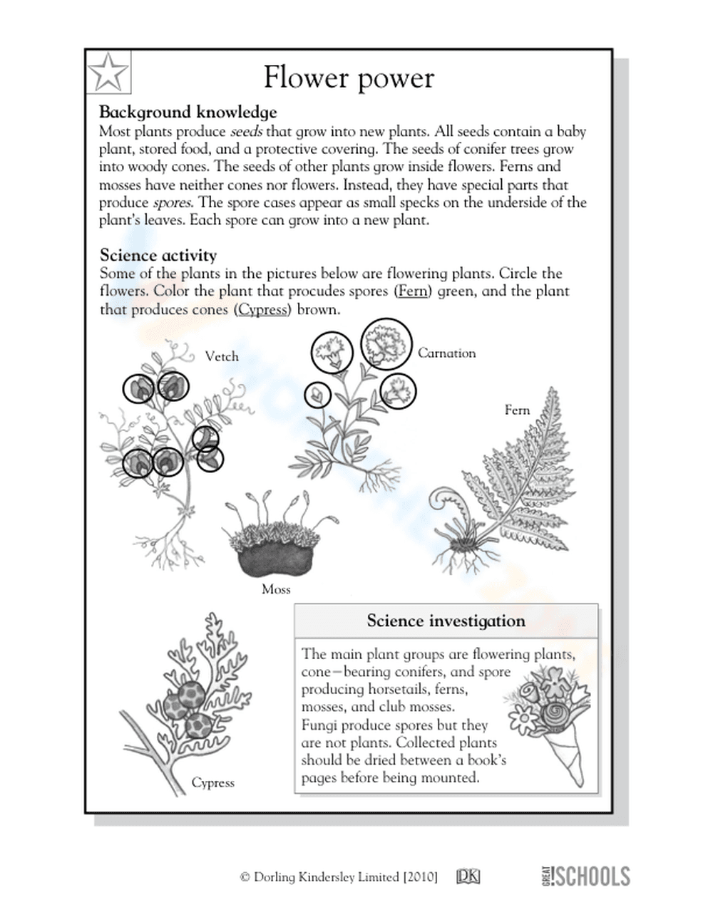 Flower power - Page 2