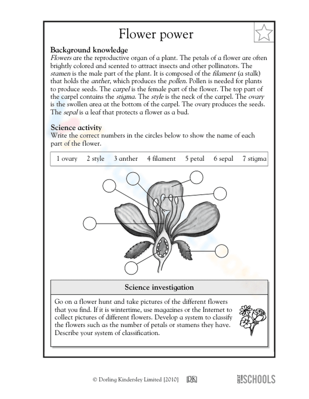 Parts of a flower - Page 1