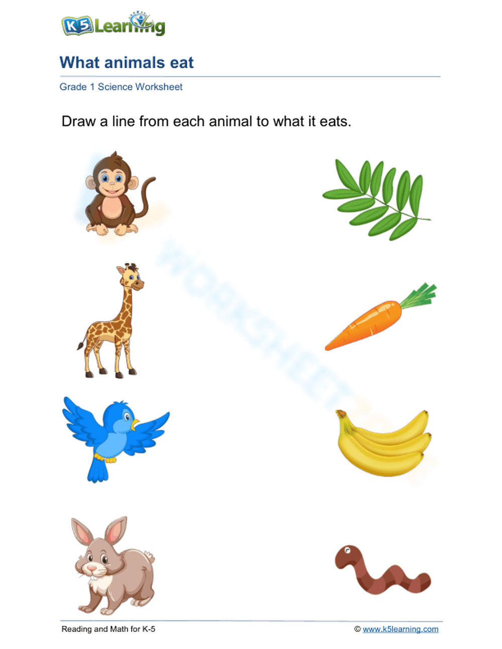 What Animals Eat - Page 1