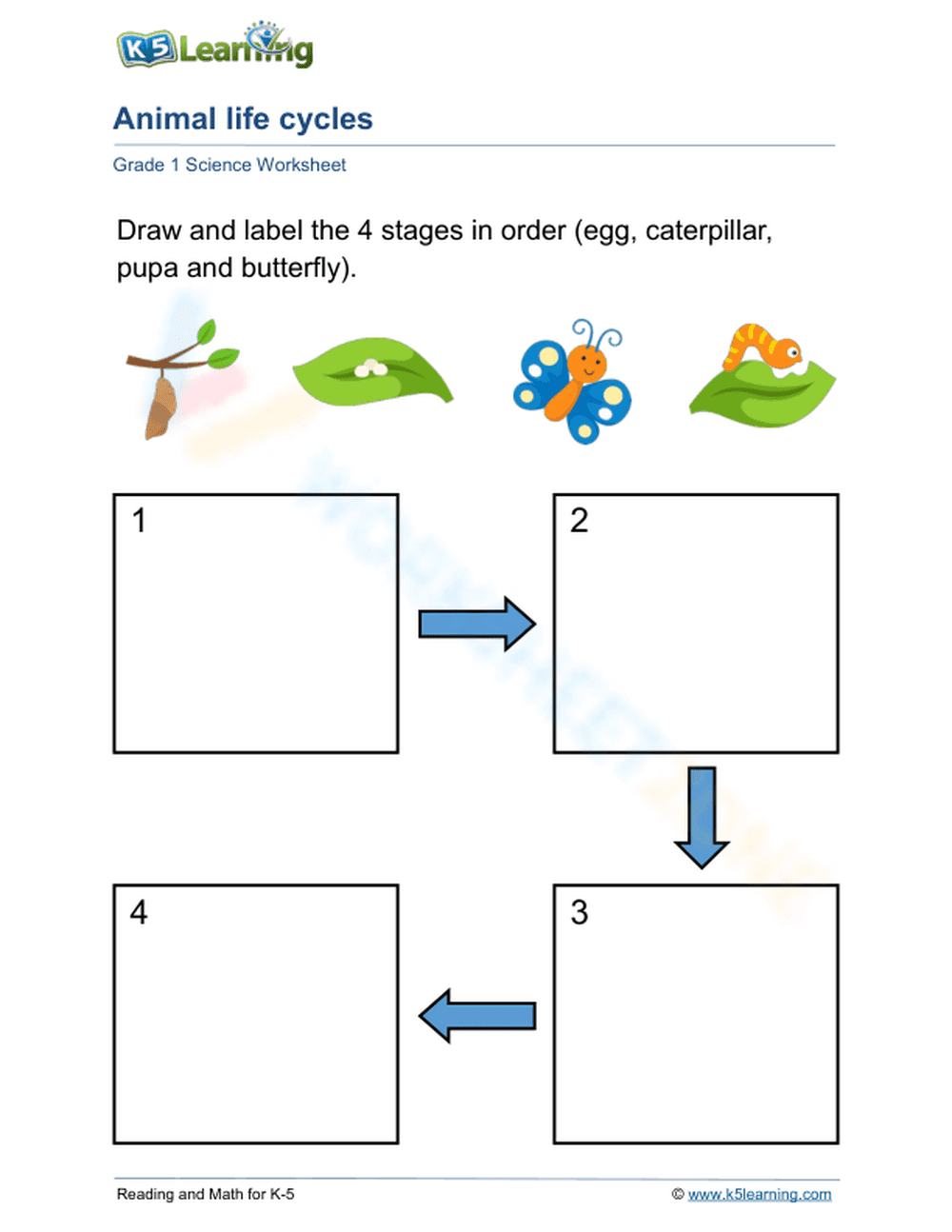 Life cycle of a butterfly 1 - Page 1