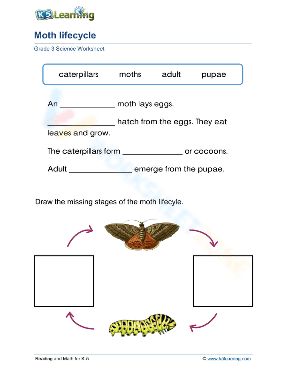 Moth lifecycle - Page 1