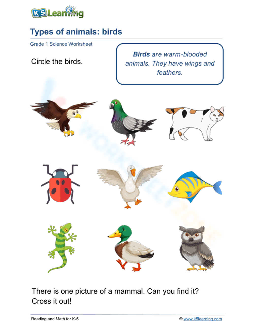Types of animals: birds - Page 1