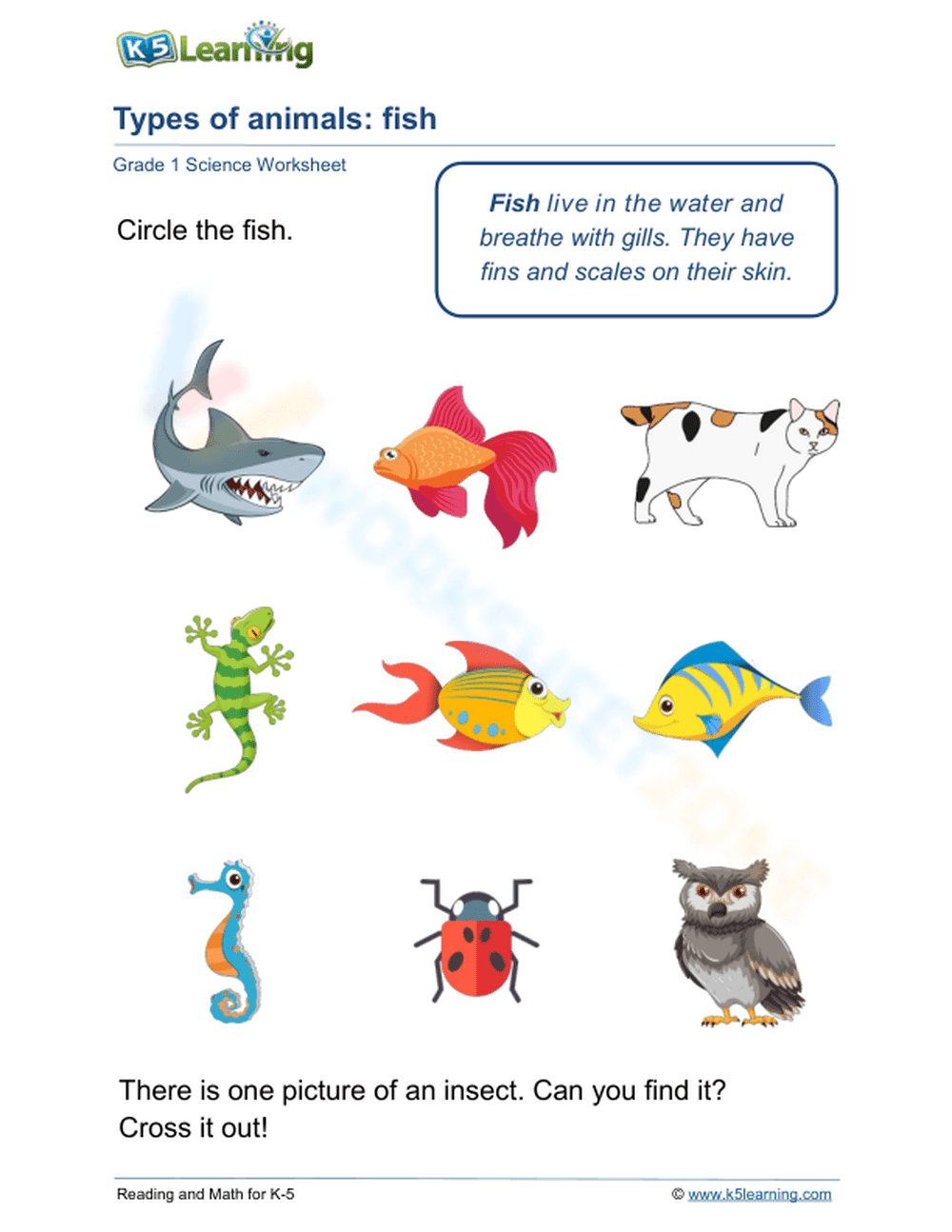 Types of animals: fish
- Page 1