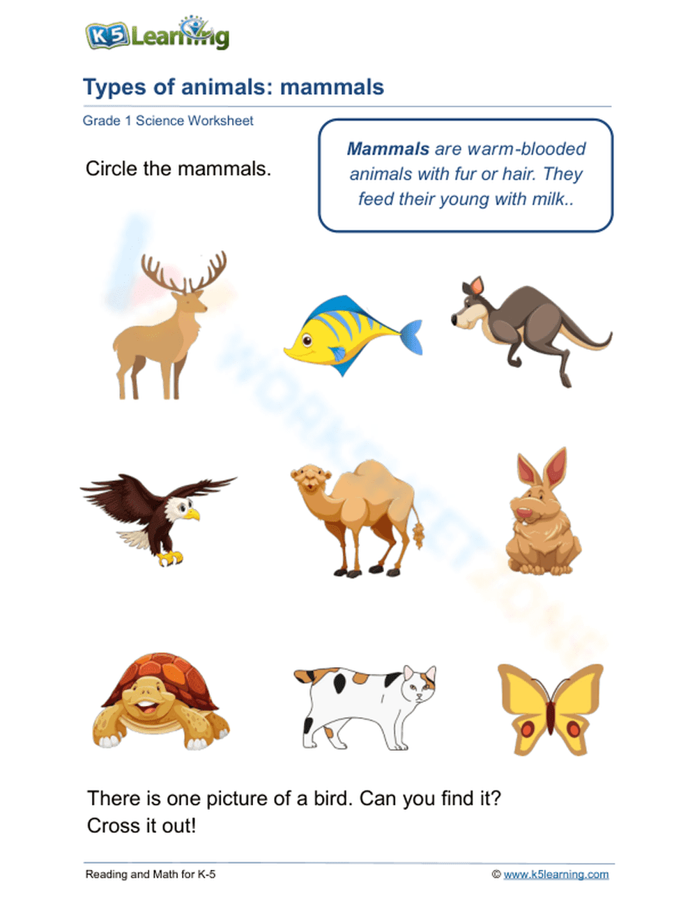 Types of animals: mammals - Page 1