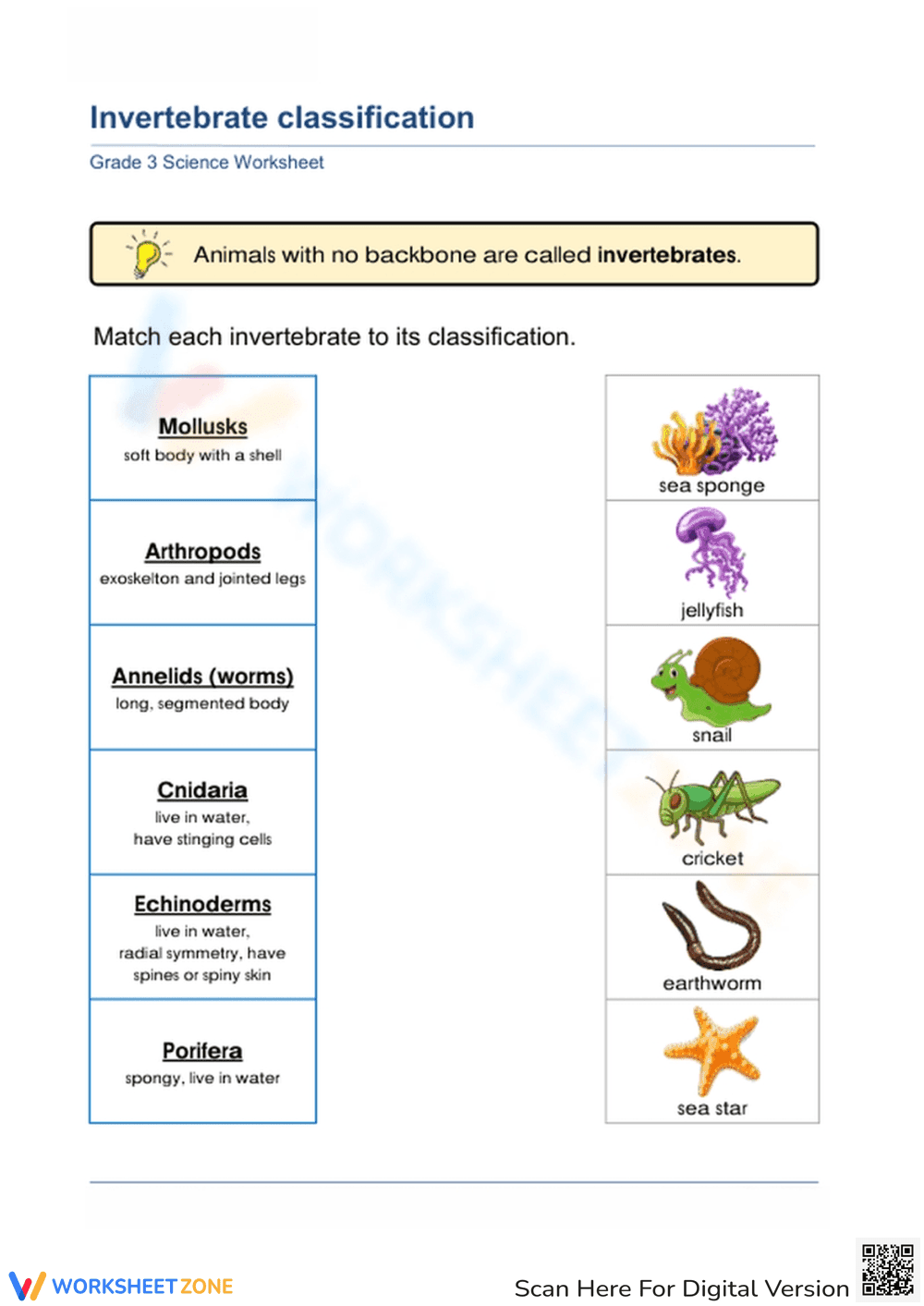 Invertebrate classification for Grade 3 - Page 1