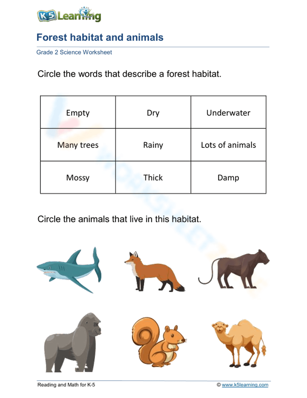 Forest habitat and animals
- Page 1