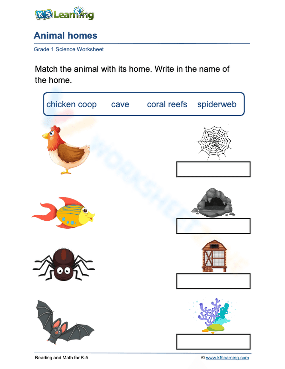 Animal homes 1 - Page 1