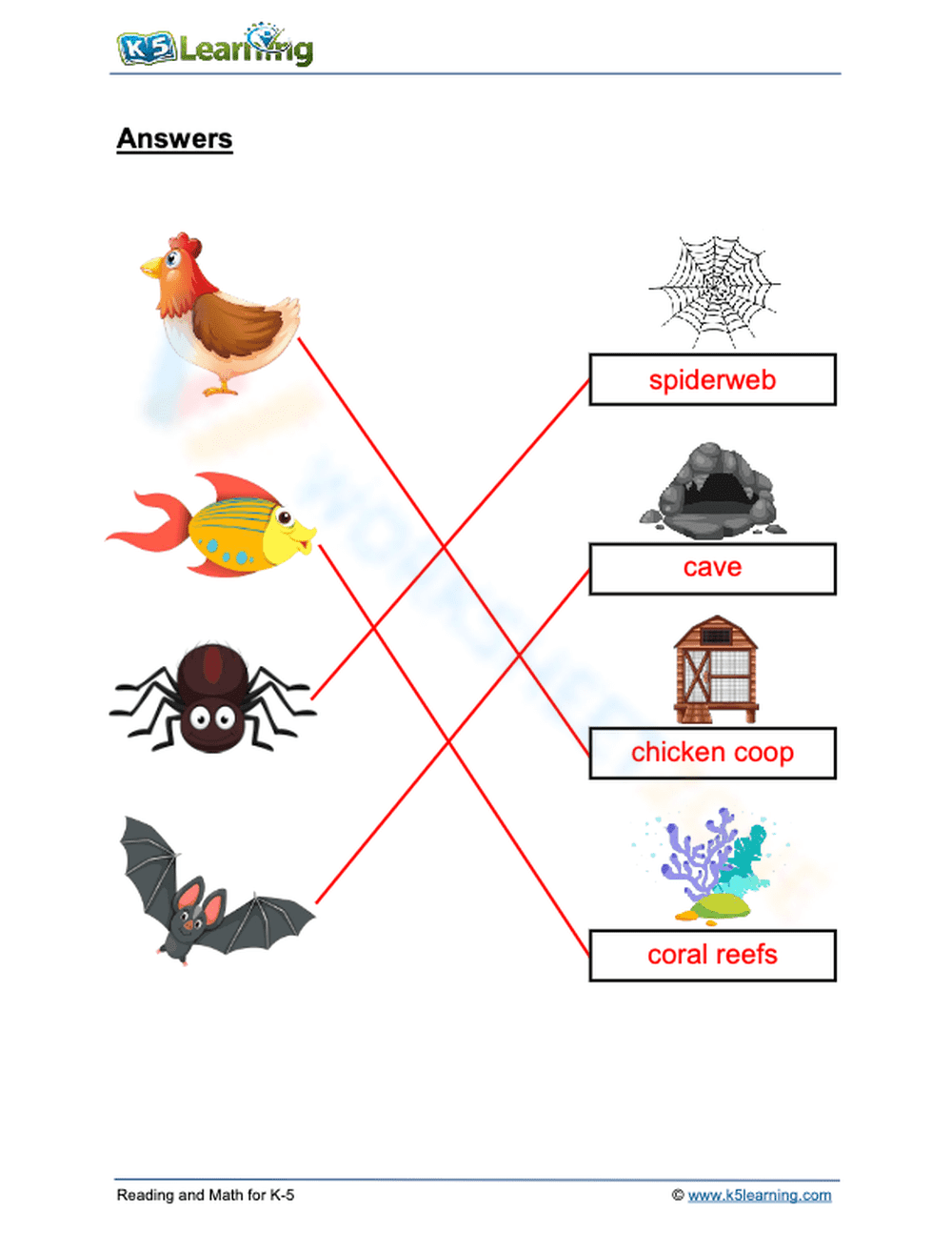 Animal homes 1 - Page 2
