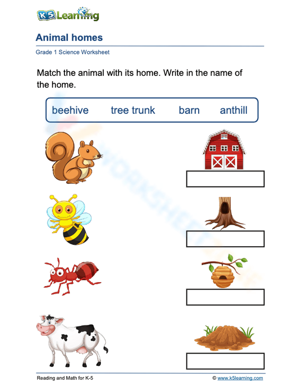 Animal homes 2 - Page 1