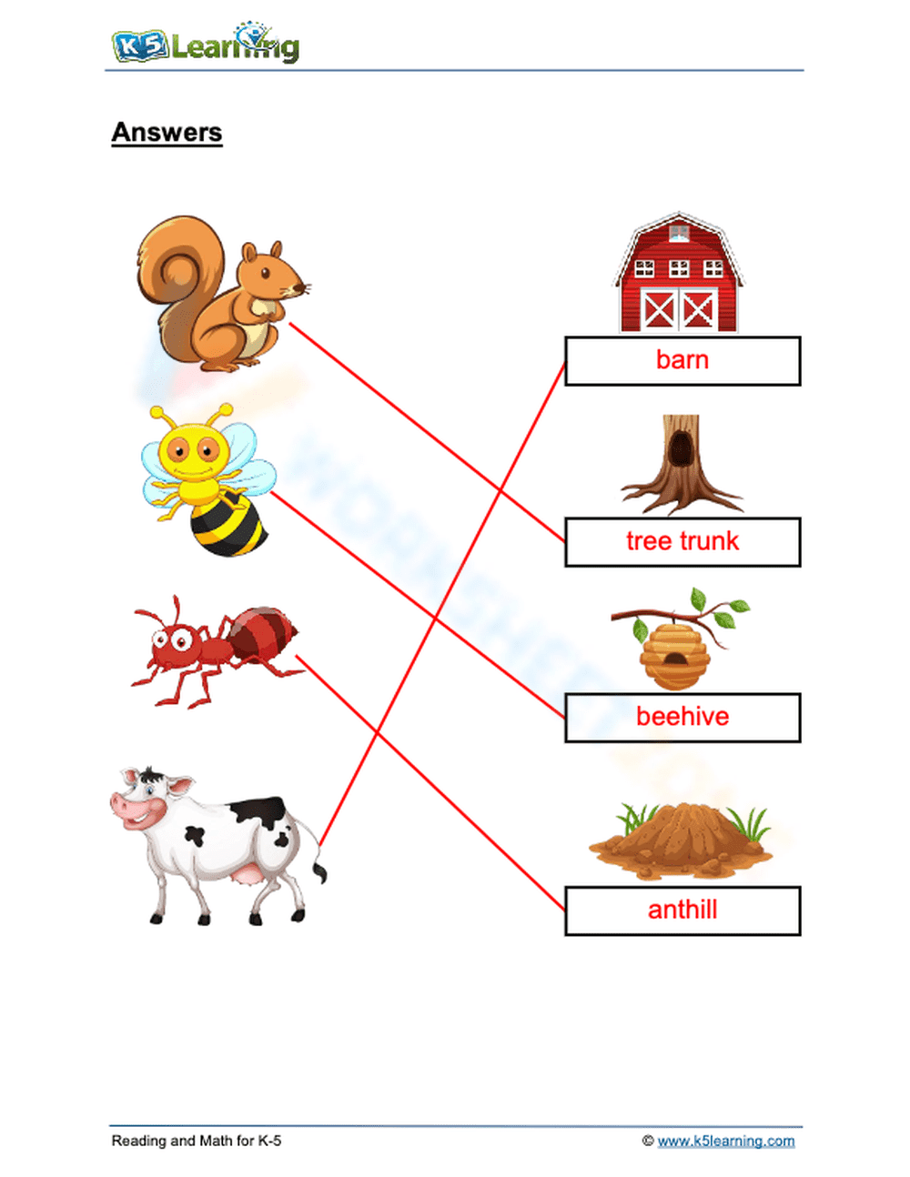 Animal homes 2 - Page 2